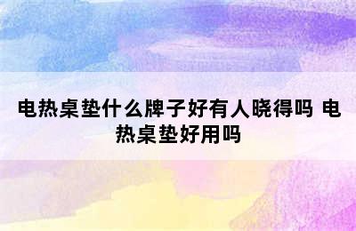 电热桌垫什么牌子好有人晓得吗 电热桌垫好用吗